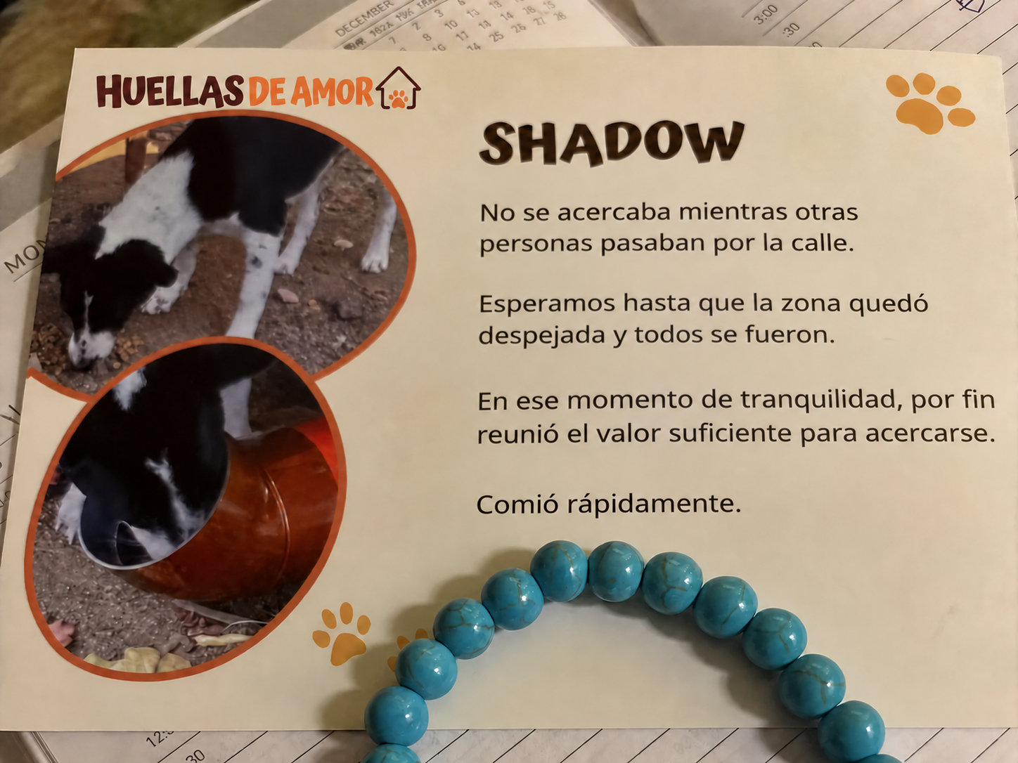 Foto de la reseña de Lucía Fernández.