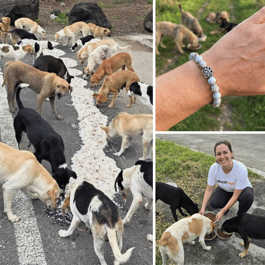 Actividades de alimentación y pulsera de Huellas de Amor
