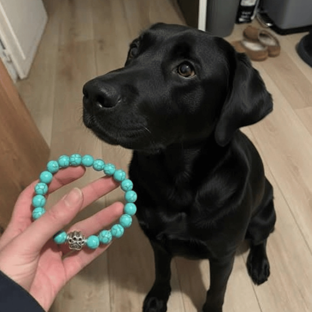 Pulseras de Huellas de Amor